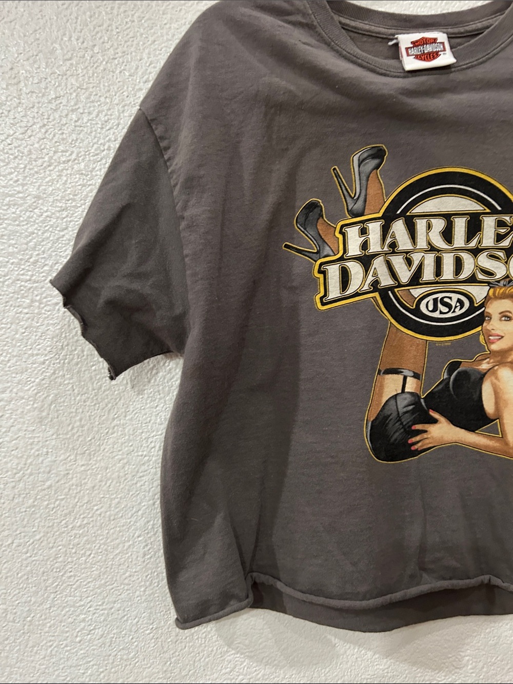 Harley-Davidson Graphic Crop Tee in Charcoal with Gold Accents - Picture 5 of 9